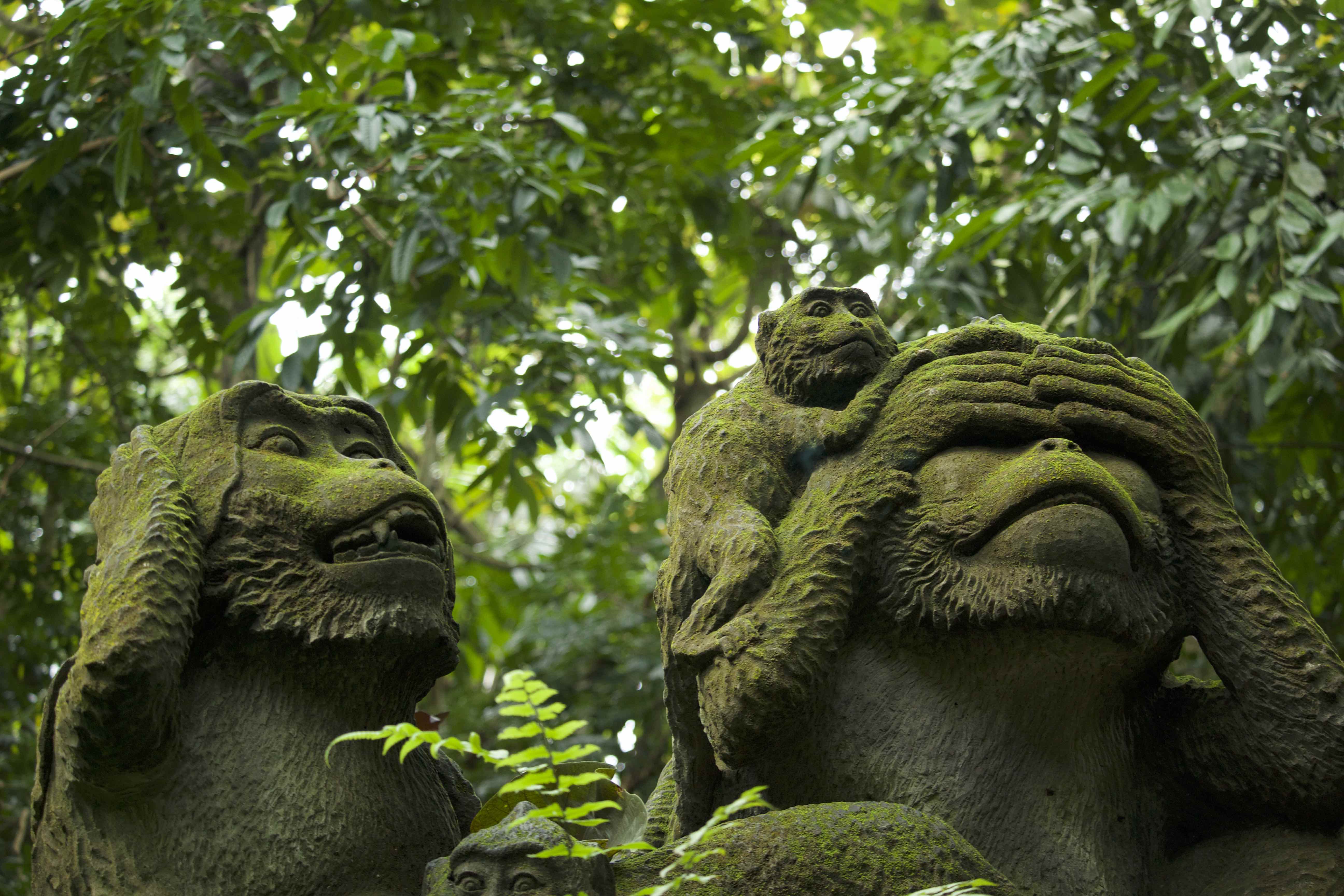 Bali Yoga Retreat Days 2 and 3